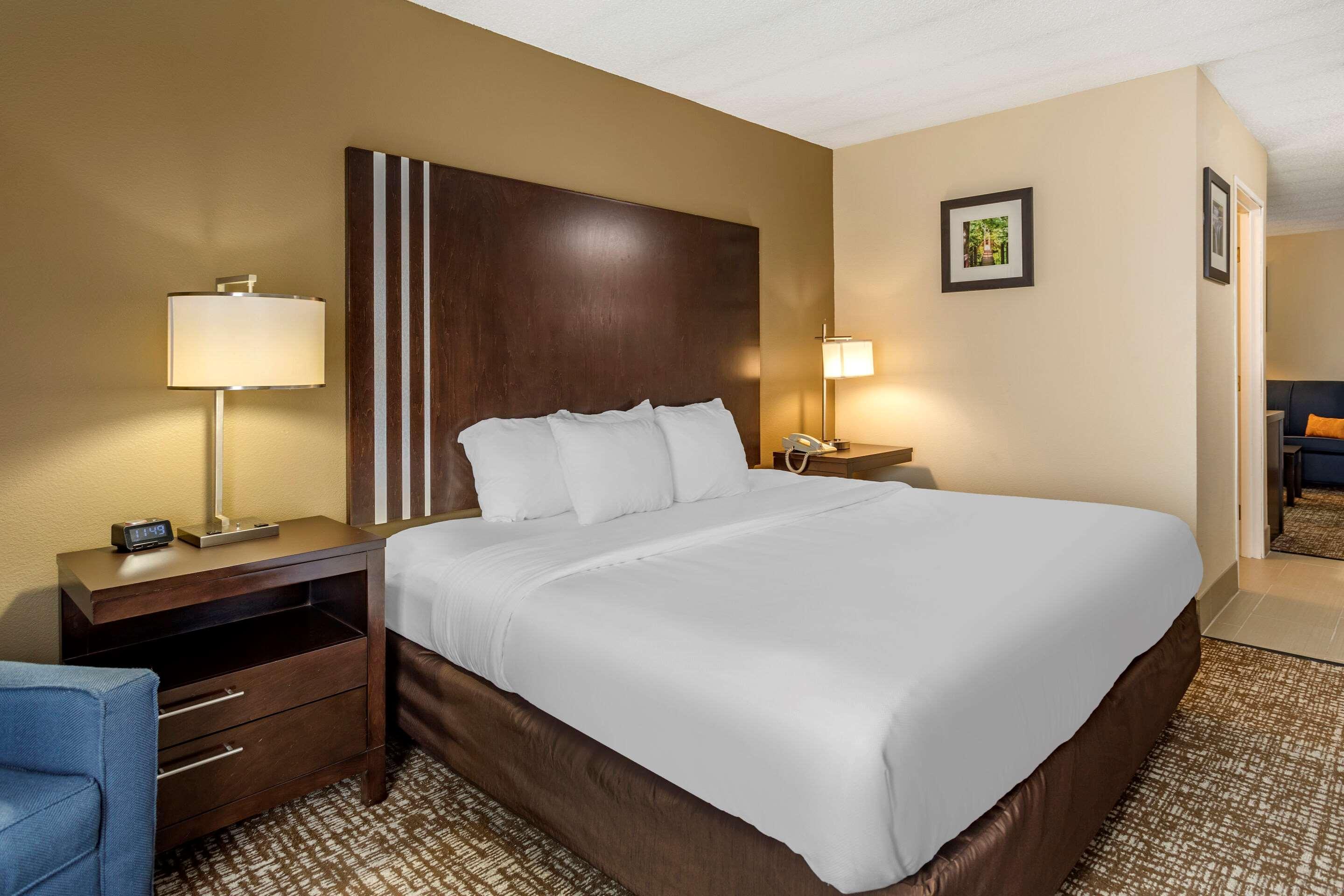Comfort Inn Paducah I-24 Экстерьер фото